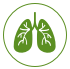 Lung image